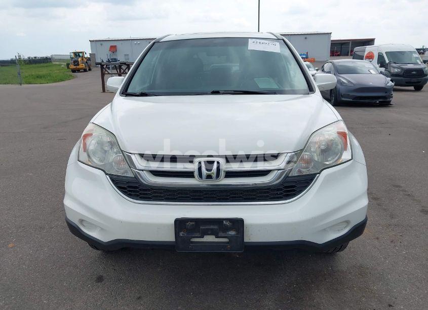 Photo 12 of 2010 Honda Cr-v EX-L (VIN 5J6RE4H74AL054137)