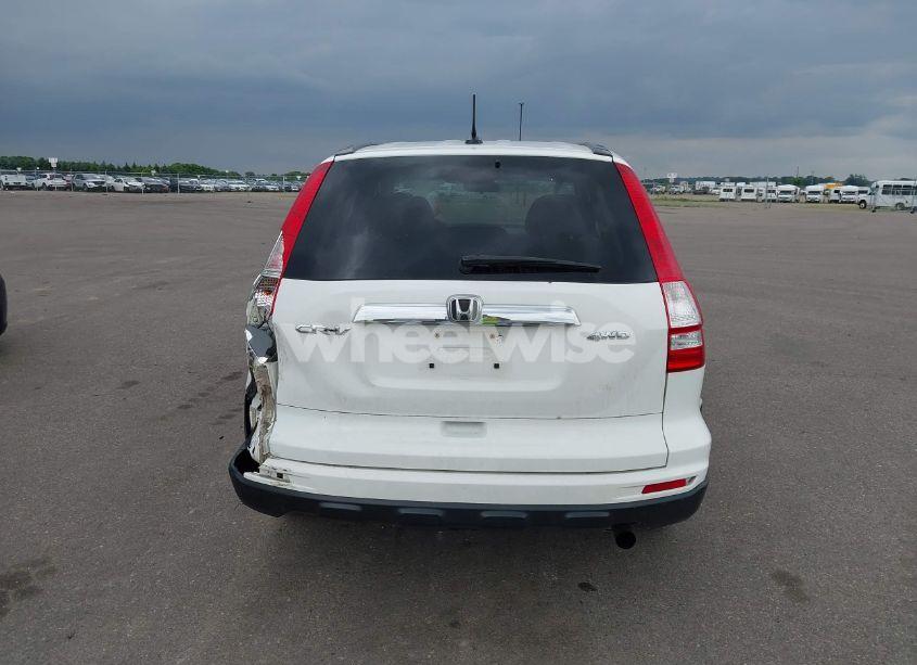 Photo 16 of 2010 Honda Cr-v EX-L (VIN 5J6RE4H74AL054137)