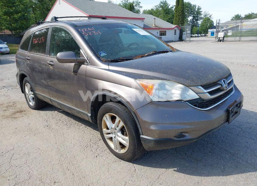 2010 Honda Cr-v EX-L (VIN 5J6RE4H74AL066305) main photo