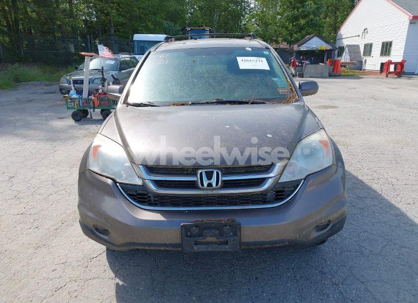 Photo 12 of 2010 Honda Cr-v EX-L (VIN 5J6RE4H74AL066305)
