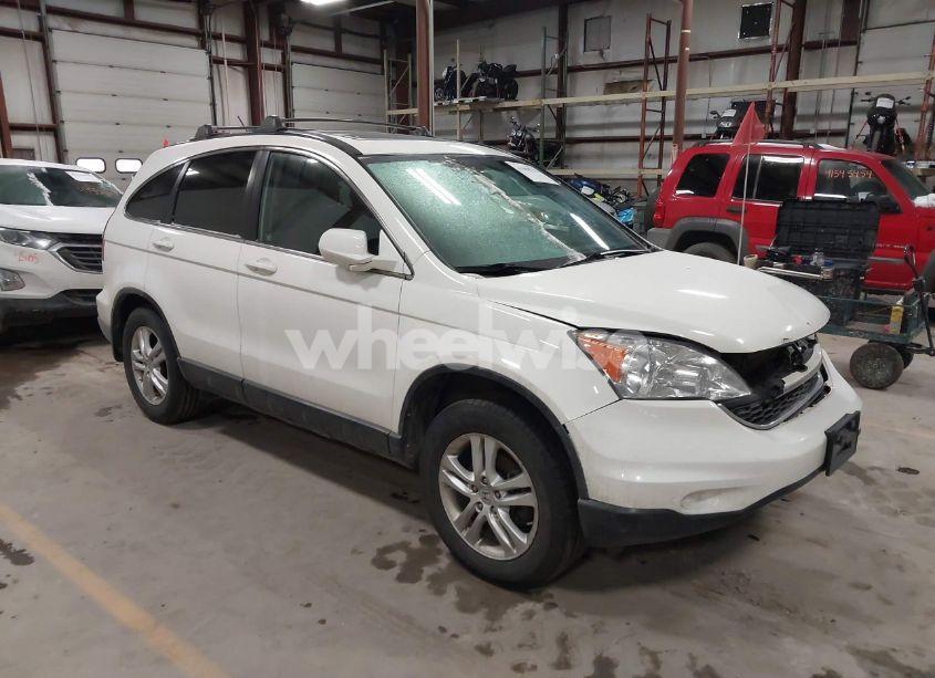 2010 Honda Cr-v EX-L (VIN 5J6RE4H74AL068992) main photo