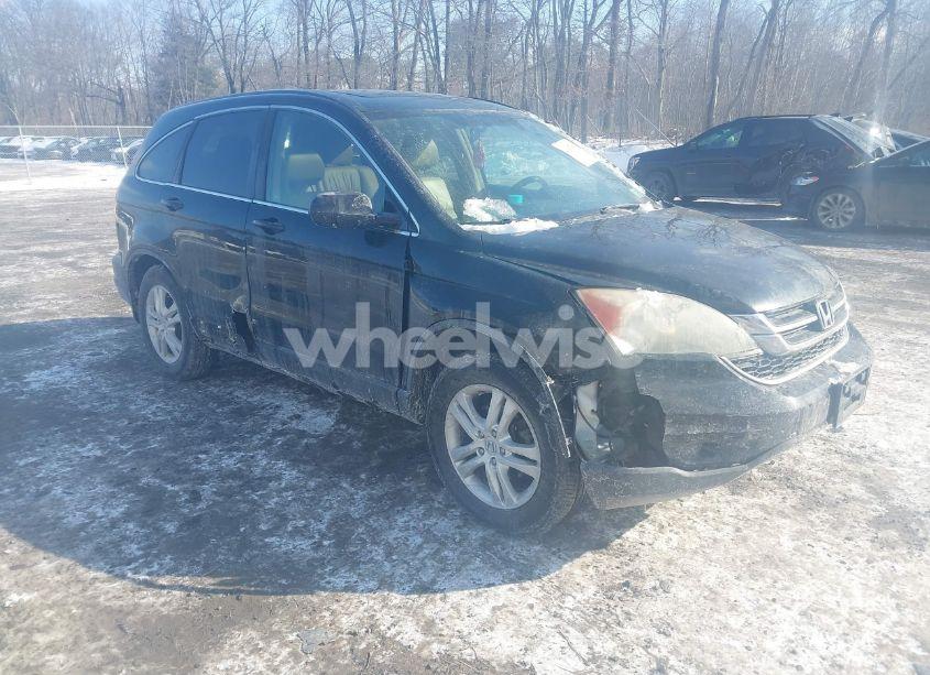 2010 Honda Cr-v EX-L (VIN 5J6RE4H74AL102493) main photo
