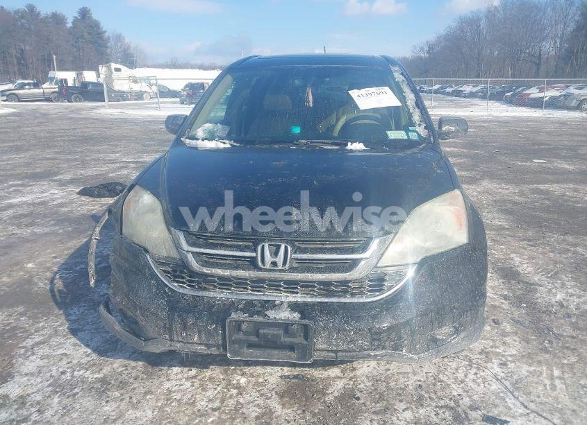 Photo 12 of 2010 Honda Cr-v EX-L (VIN 5J6RE4H74AL102493)