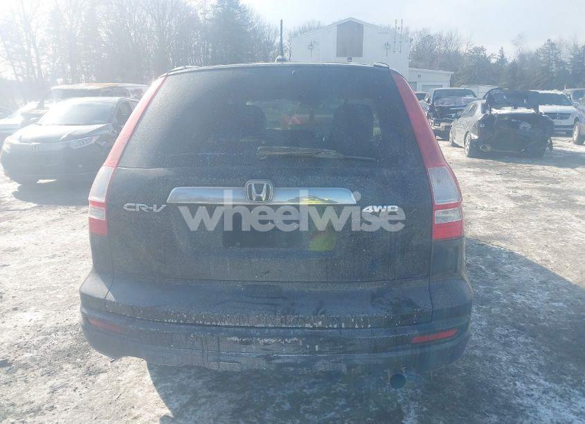 Photo 16 of 2010 Honda Cr-v EX-L (VIN 5J6RE4H74AL102493)