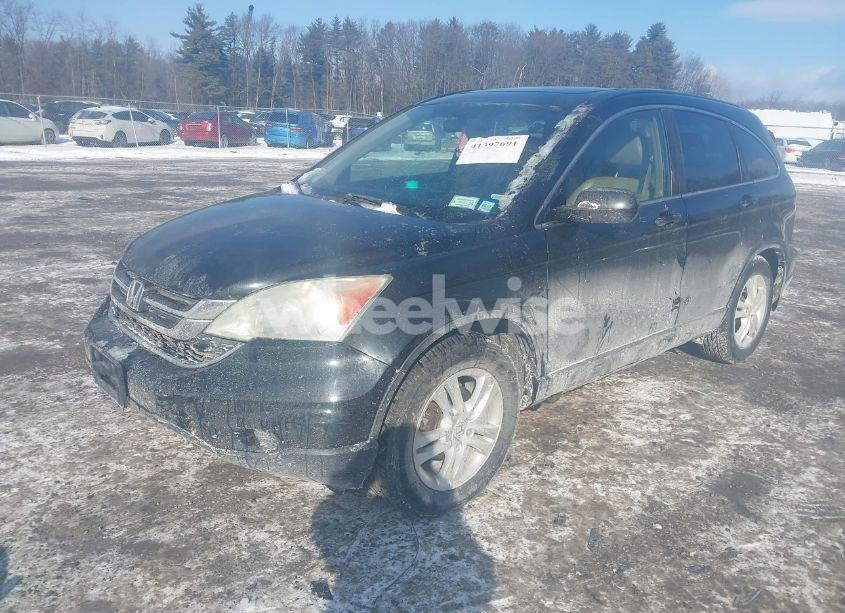 Photo 2 of 2010 Honda Cr-v EX-L (VIN 5J6RE4H74AL102493)