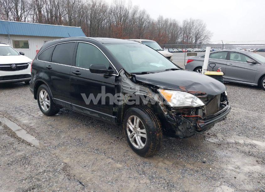 2010 Honda Cr-v EX-L (VIN 5J6RE4H75AL007182) main photo