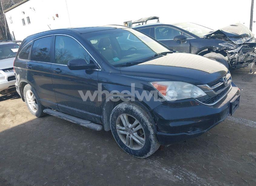 2010 Honda Cr-v EX-L (VIN 5J6RE4H75AL009109) main photo