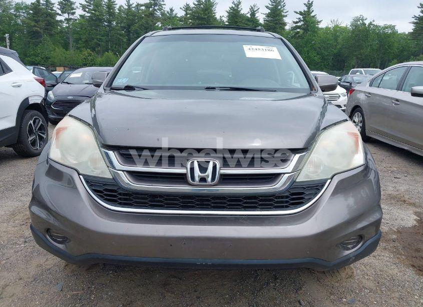 Photo 12 of 2010 Honda Cr-v EX-L (VIN 5J6RE4H75AL013418)