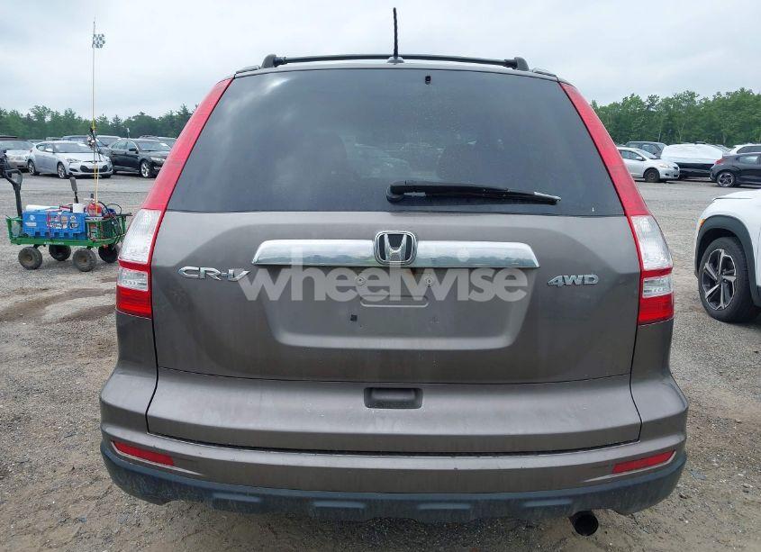 Photo 16 of 2010 Honda Cr-v EX-L (VIN 5J6RE4H75AL013418)