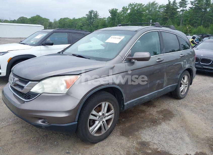 Photo 2 of 2010 Honda Cr-v EX-L (VIN 5J6RE4H75AL013418)