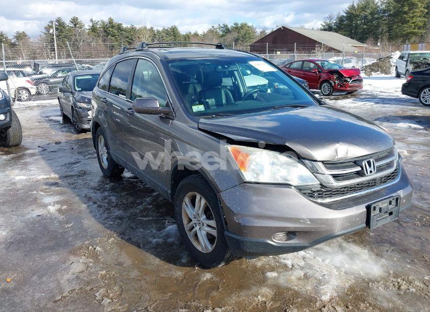 2010 Honda Cr-v EX-L (VIN 5J6RE4H75AL033992) main photo