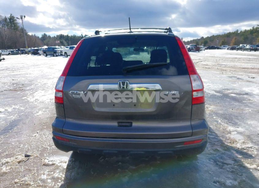 Photo 16 of 2010 Honda Cr-v EX-L (VIN 5J6RE4H75AL033992)