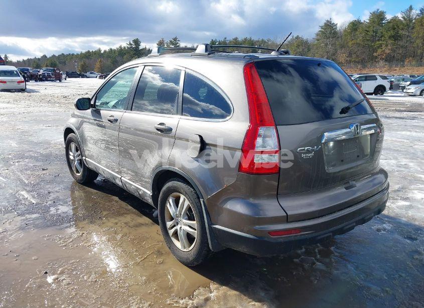 Photo 3 of 2010 Honda Cr-v EX-L (VIN 5J6RE4H75AL033992)