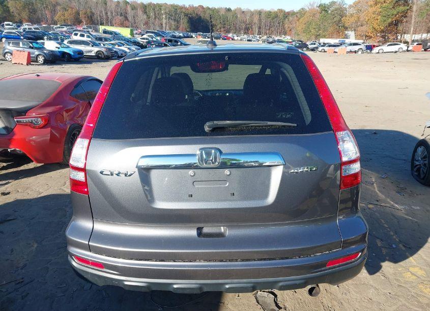 Photo 15 of 2010 Honda Cr-v EX-L (VIN 5J6RE4H75AL036178)