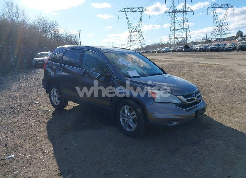 2010 Honda Cr-v EX-L (VIN 5J6RE4H75AL079371) main photo