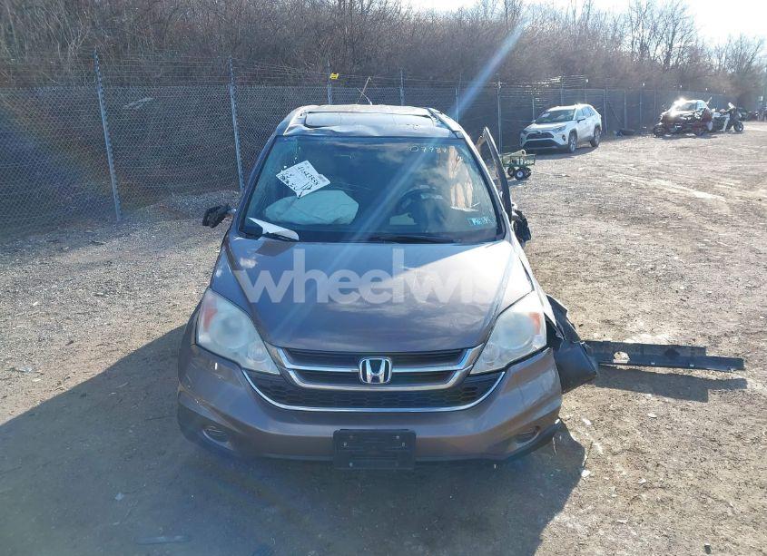 Photo 12 of 2010 Honda Cr-v EX-L (VIN 5J6RE4H75AL079371)