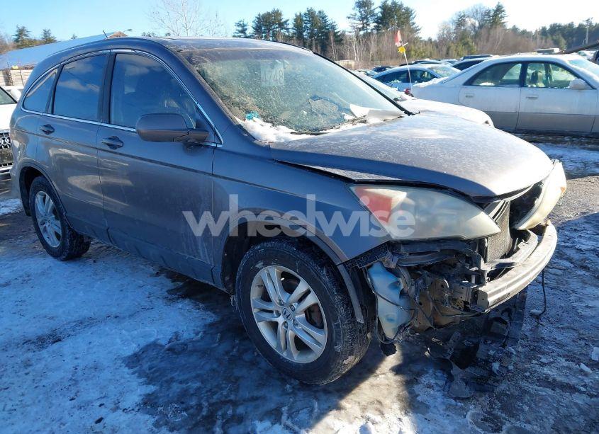 2010 Honda Cr-v EX-L (VIN 5J6RE4H75AL084506) main photo