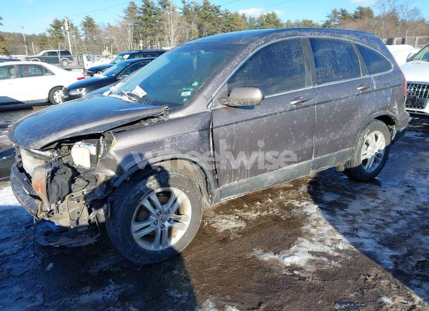 Photo 2 of 2010 Honda Cr-v EX-L (VIN 5J6RE4H75AL084506)