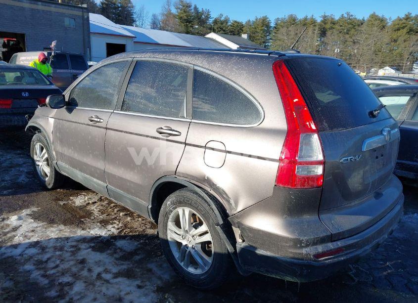 Photo 3 of 2010 Honda Cr-v EX-L (VIN 5J6RE4H75AL084506)