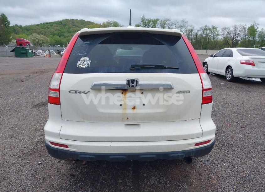 Photo 16 of 2011 Honda Cr-v EX-L (VIN 5J6RE4H75BL004283)