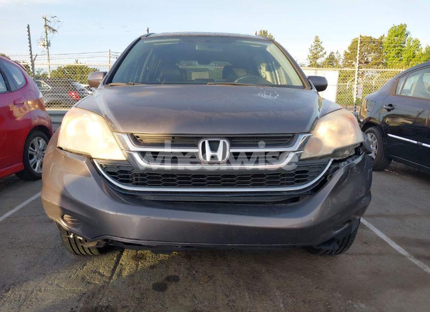 Photo 12 of 2010 Honda Cr-v EX-L (VIN 5J6RE4H76AL018319)