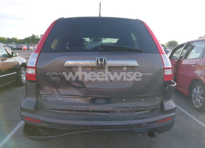 Photo 16 of 2010 Honda Cr-v EX-L (VIN 5J6RE4H76AL018319)