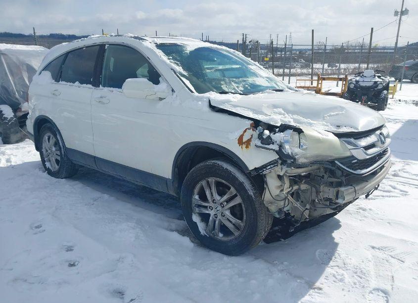 2010 Honda Cr-v EX-L (VIN 5J6RE4H76AL032088) main photo