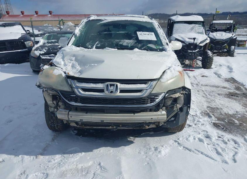 Photo 13 of 2010 Honda Cr-v EX-L (VIN 5J6RE4H76AL032088)