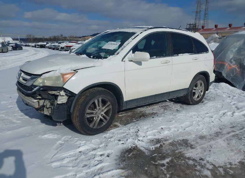 Photo 2 of 2010 Honda Cr-v EX-L (VIN 5J6RE4H76AL032088)