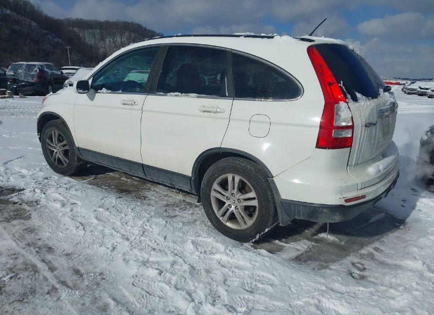 Photo 3 of 2010 Honda Cr-v EX-L (VIN 5J6RE4H76AL032088)