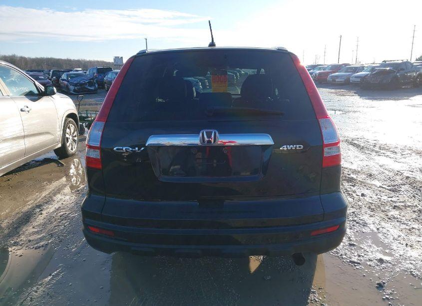 Photo 16 of 2010 Honda Cr-v EX-L (VIN 5J6RE4H76AL037419)