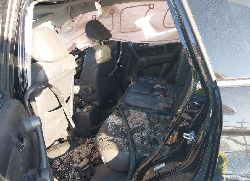 Photo 8 of 2010 Honda Cr-v EX-L (VIN 5J6RE4H76AL067570)