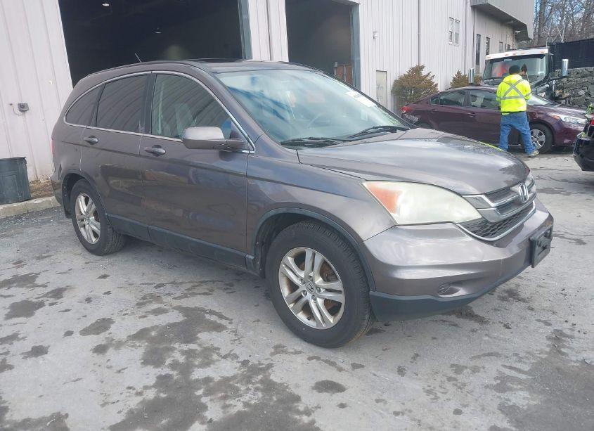 2010 Honda Cr-v EXL (VIN 5J6RE4H76AL077337) main photo