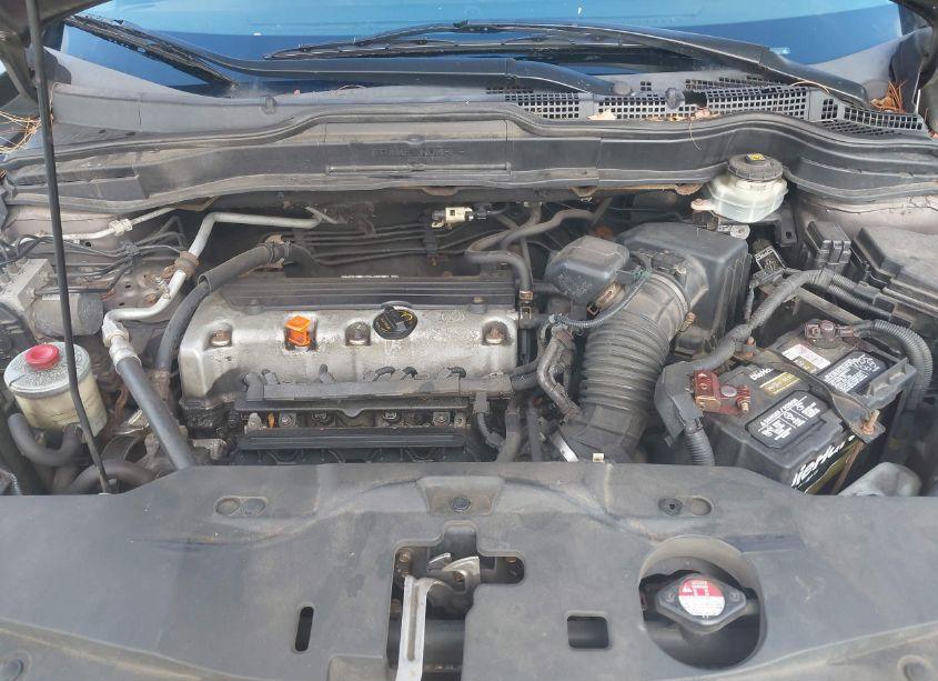 Photo 10 of 2010 Honda Cr-v EXL (VIN 5J6RE4H76AL077337)