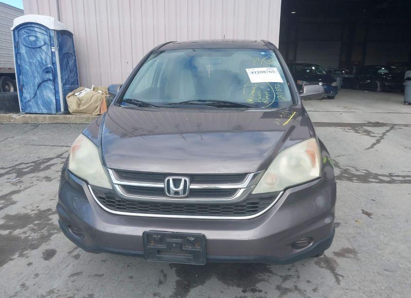 Photo 12 of 2010 Honda Cr-v EXL (VIN 5J6RE4H76AL077337)