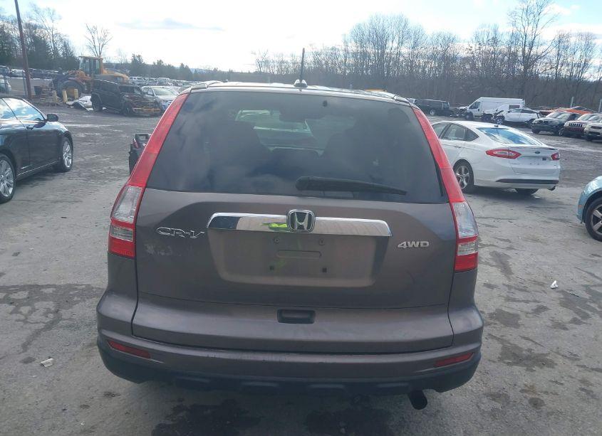 Photo 16 of 2010 Honda Cr-v EXL (VIN 5J6RE4H76AL077337)