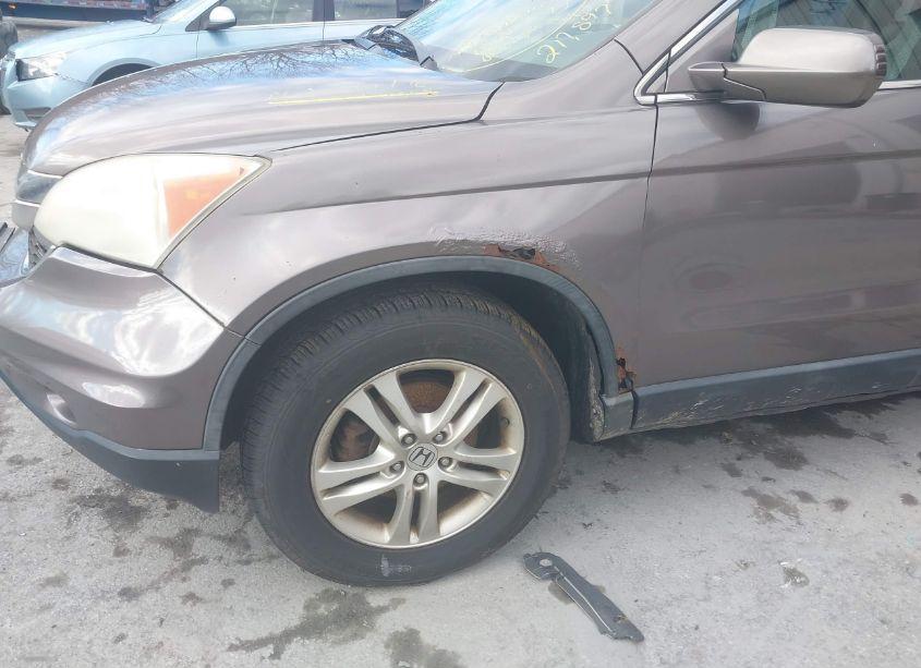 Photo 17 of 2010 Honda Cr-v EXL (VIN 5J6RE4H76AL077337)