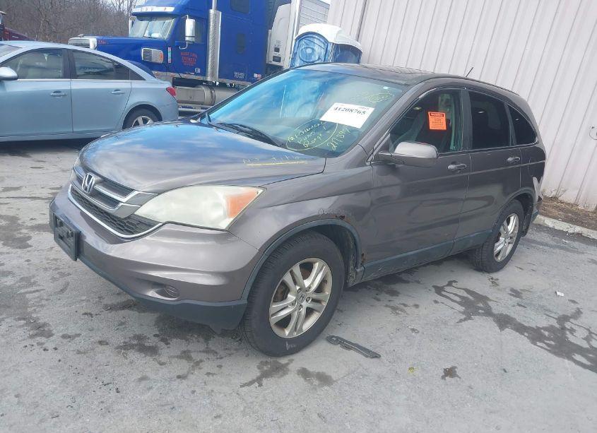 Photo 2 of 2010 Honda Cr-v EXL (VIN 5J6RE4H76AL077337)