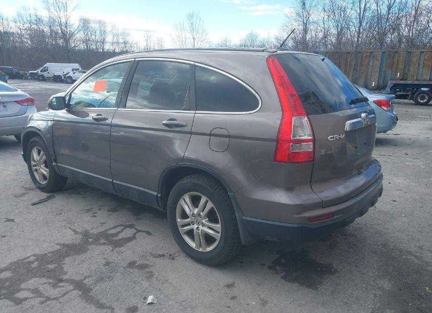 Photo 3 of 2010 Honda Cr-v EXL (VIN 5J6RE4H76AL077337)