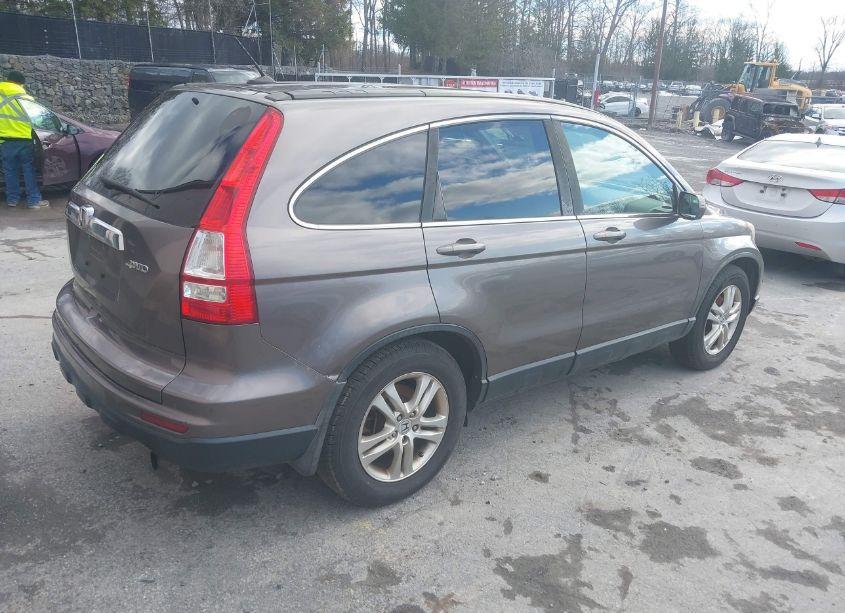 Photo 4 of 2010 Honda Cr-v EXL (VIN 5J6RE4H76AL077337)