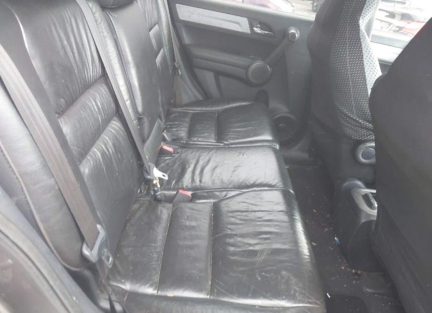 Photo 8 of 2010 Honda Cr-v EXL (VIN 5J6RE4H76AL077337)