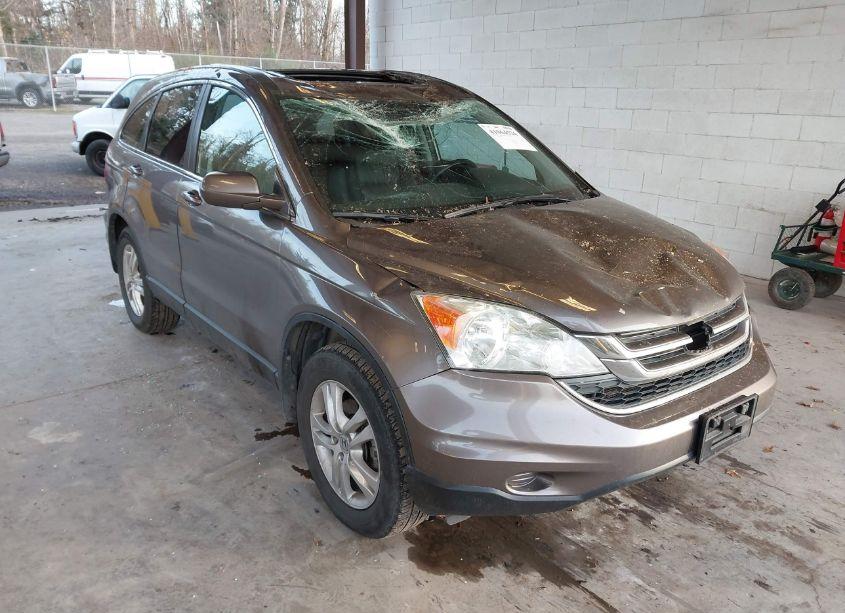 2010 Honda Cr-v EX-L (VIN 5J6RE4H76AL084515) main photo