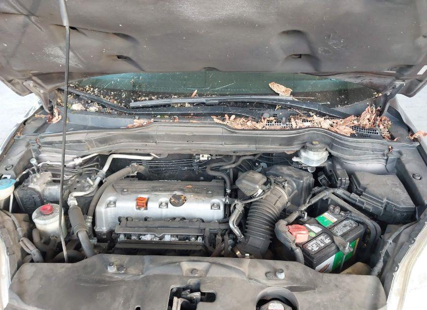 Photo 10 of 2010 Honda Cr-v EX-L (VIN 5J6RE4H76AL084515)