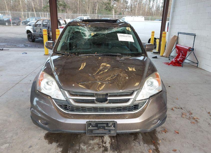Photo 12 of 2010 Honda Cr-v EX-L (VIN 5J6RE4H76AL084515)
