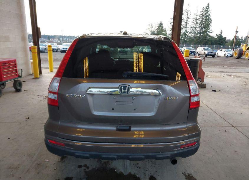 Photo 16 of 2010 Honda Cr-v EX-L (VIN 5J6RE4H76AL084515)