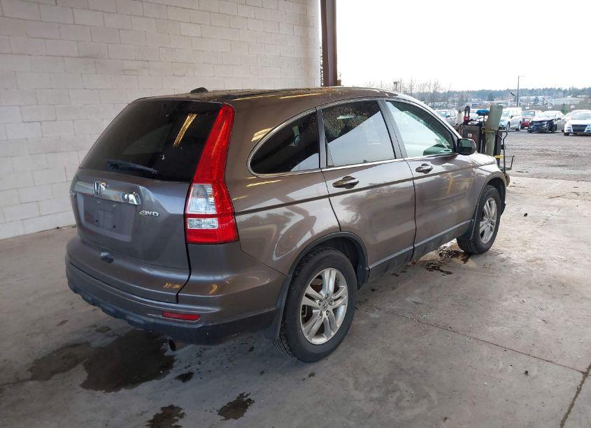 Photo 4 of 2010 Honda Cr-v EX-L (VIN 5J6RE4H76AL084515)