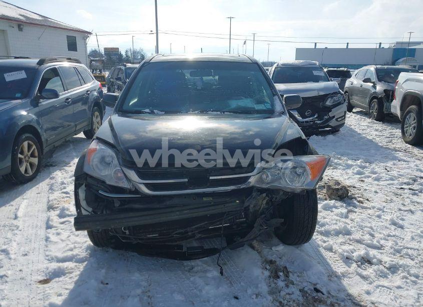 Photo 11 of 2010 Honda Cr-v EX-L (VIN 5J6RE4H77AL005336)