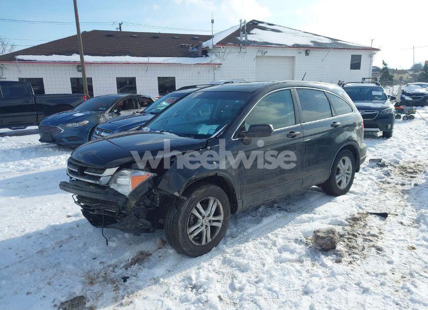 Photo 2 of 2010 Honda Cr-v EX-L (VIN 5J6RE4H77AL005336)