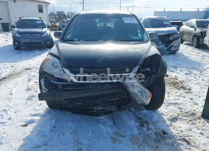 Photo 6 of 2010 Honda Cr-v EX-L (VIN 5J6RE4H77AL005336)