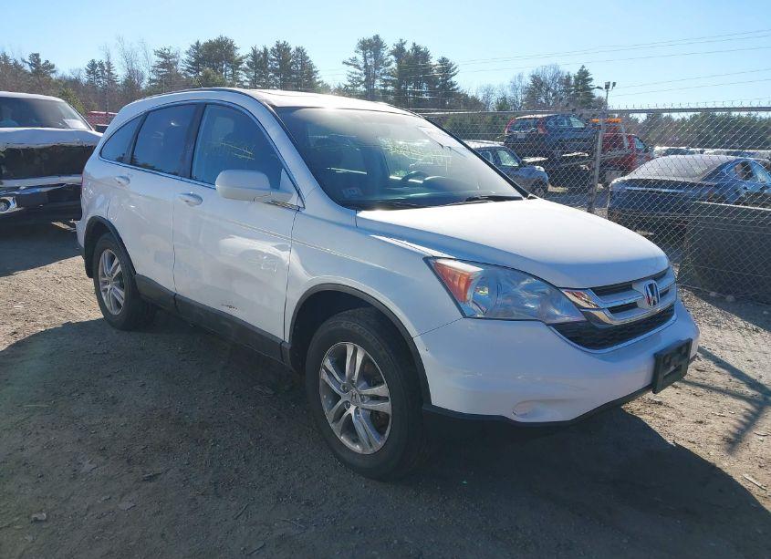 2010 Honda Cr-v EX-L (VIN 5J6RE4H77AL011153) main photo